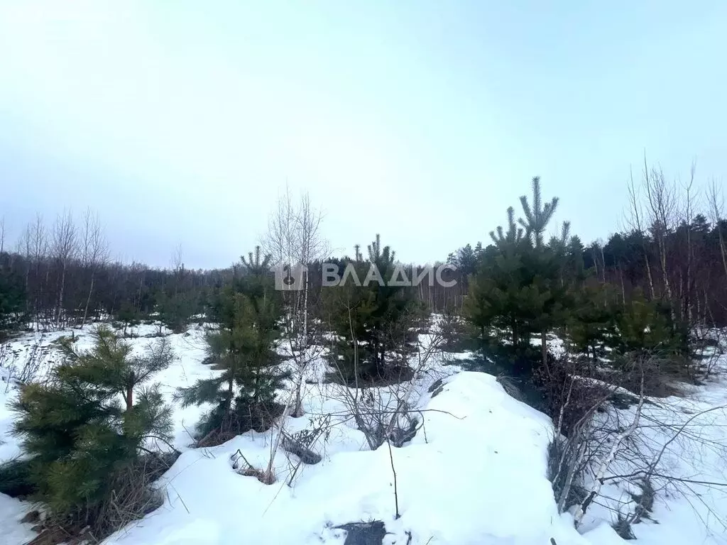 Участок в городской округ Владимир, деревня Уварово, Юринская улица ... - Фото 0