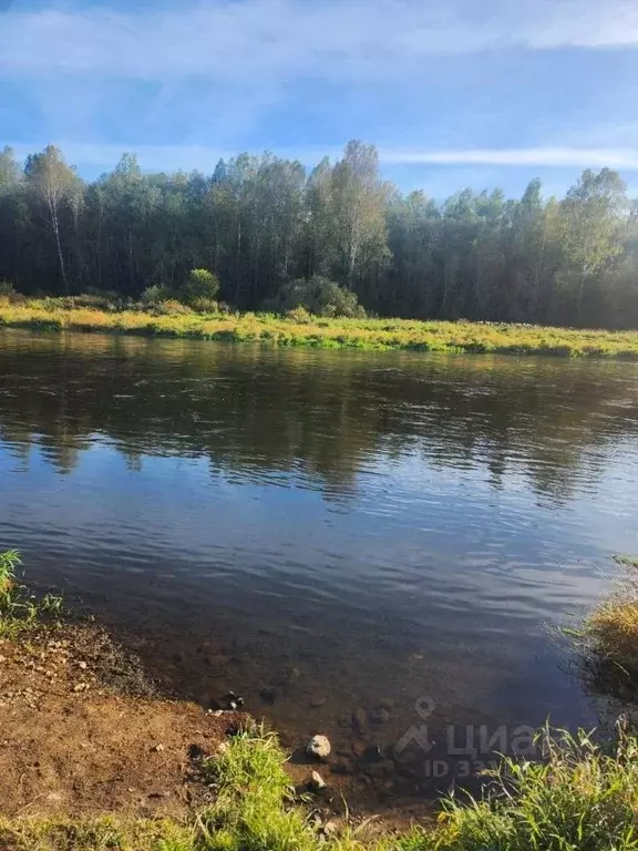 Участок в Тверская область, Ржевский муниципальный округ, д. ... - Фото 1