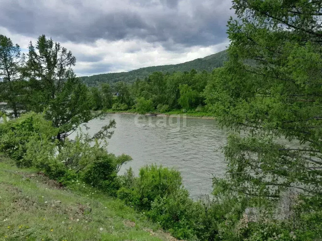 Участок в Алтай, Усть-Коксинский район, с. Усть-Кокса Мостовая ул. ... - Фото 0