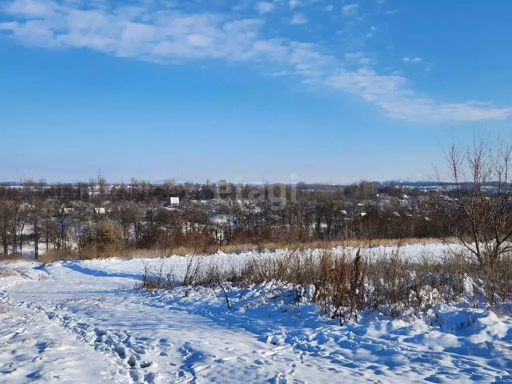 Участок в Белгородская область, Белгород Юго-Западный-2.2 мкр, пер. ... - Фото 0