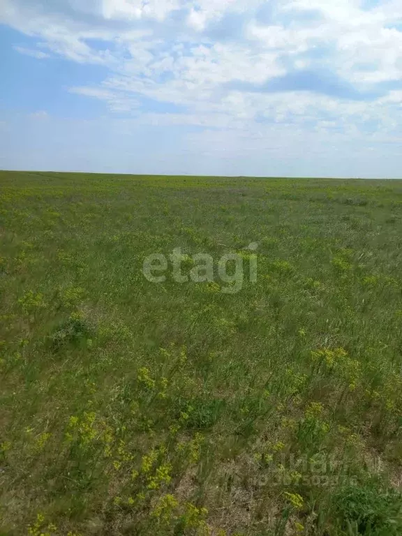 Участок в Крым, Раздольненский район, с. Славное ул. Ленина (12.0 ... - Фото 1