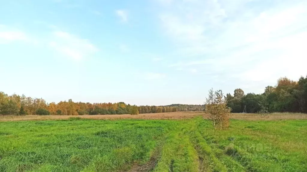 Участок в Карелия, Кондопожский район, Кончезерское с/пос, Шушки тер.  ... - Фото 0