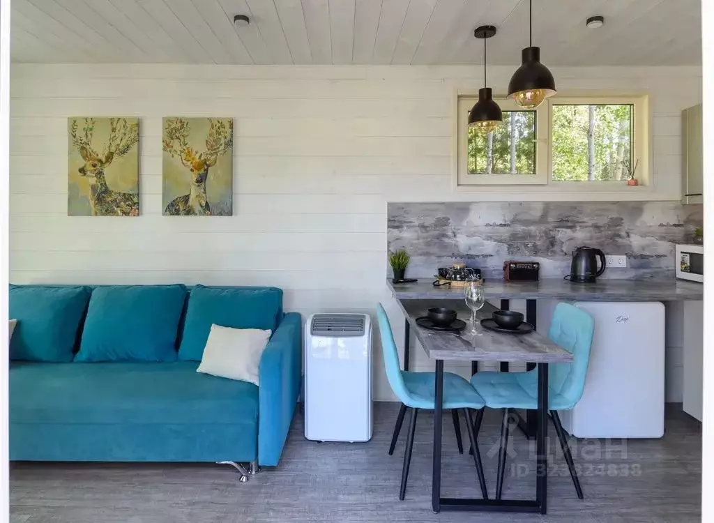 Дом в Красноярский край, Емельяново пгт  (40 м) - Фото 2