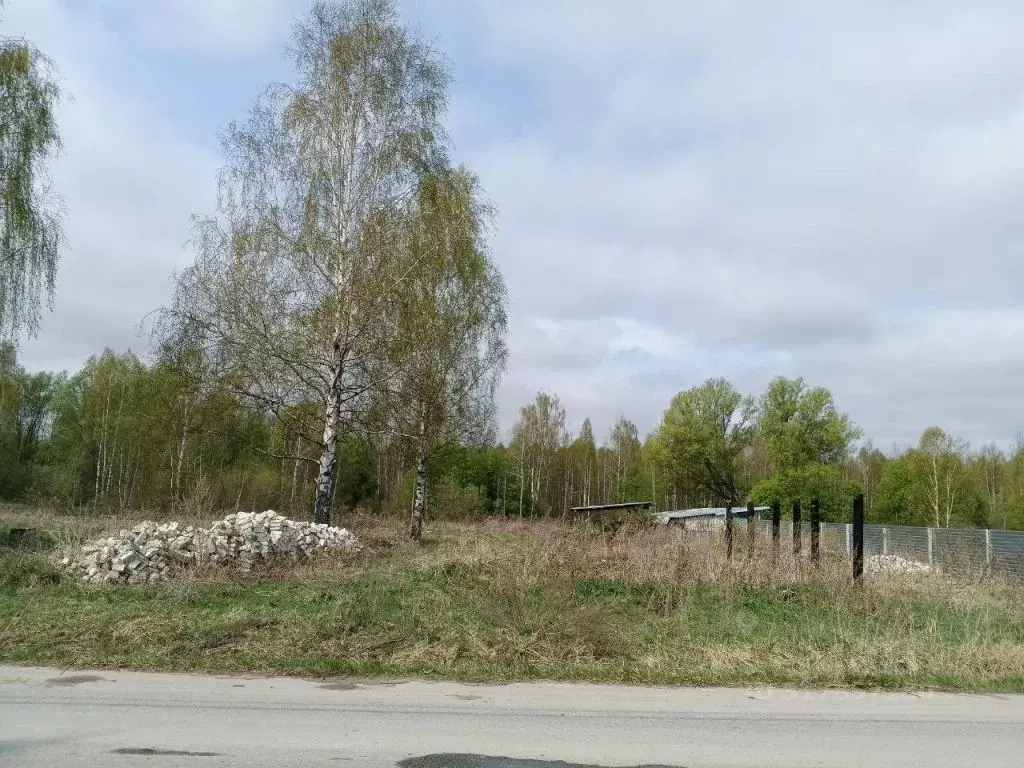 Участок в Нижегородская область, Бор городской округ, д. Ильинское  ... - Фото 0