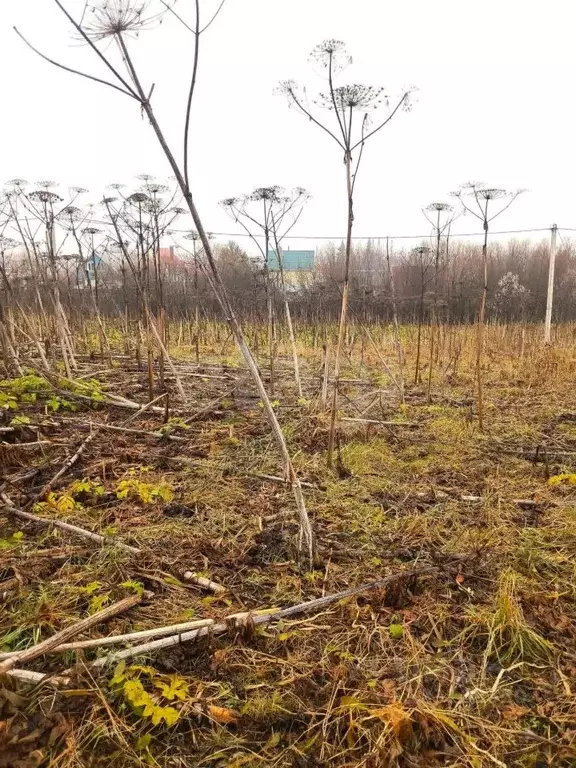 Участок в Коми, Сыктывдинский район, с. Выльгорт ул. Дальняя (8.67 ... - Фото 1
