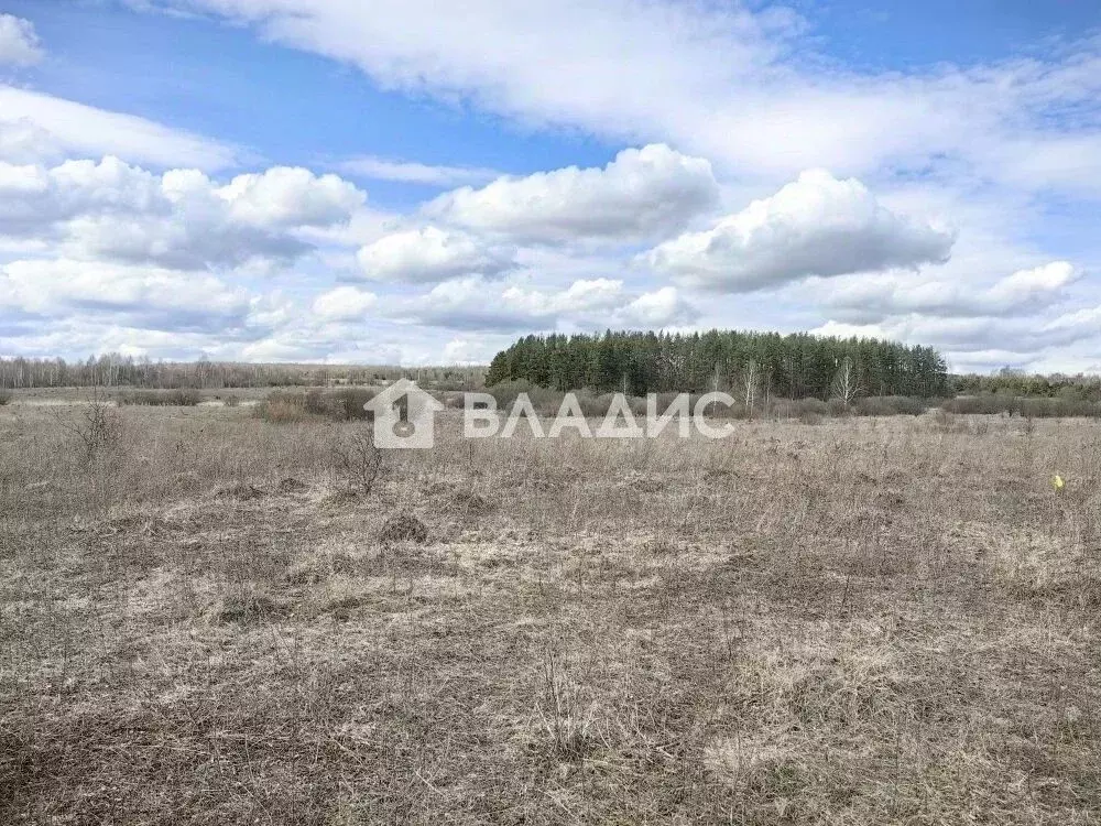 Участок в Нижегородская область, Богородский муниципальный округ, д. ... - Фото 1