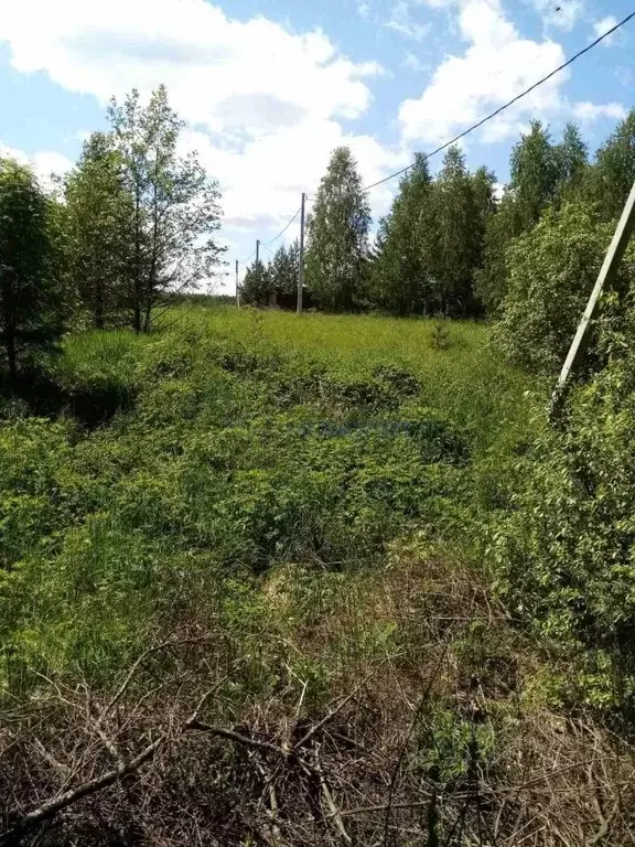 Участок в Нижегородская область, Дальнеконстантиновский муниципальный ... - Фото 1