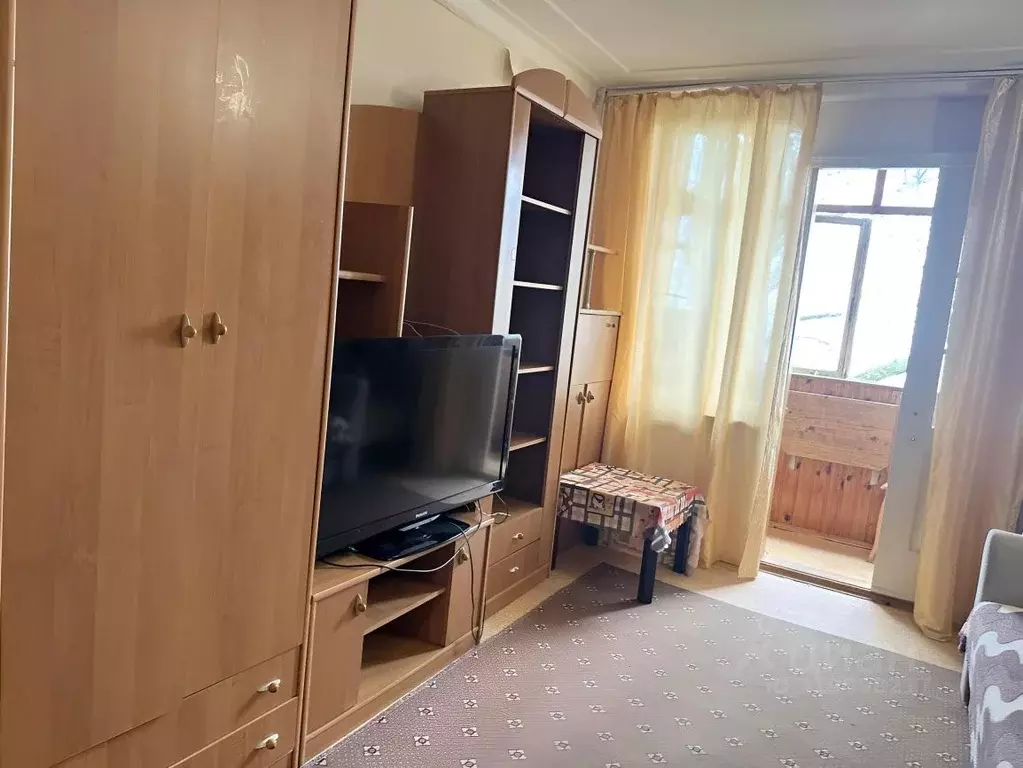 Студия Краснодарский край, Сочи Бытха мкр, ул. Бытха, 40 (18.0 м) - Фото 1