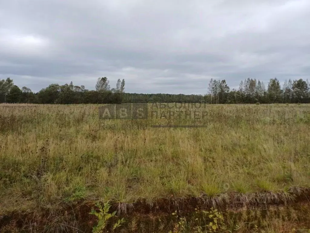 Участок в Новгородская область, Крестецкий муниципальный округ, д. ... - Фото 1