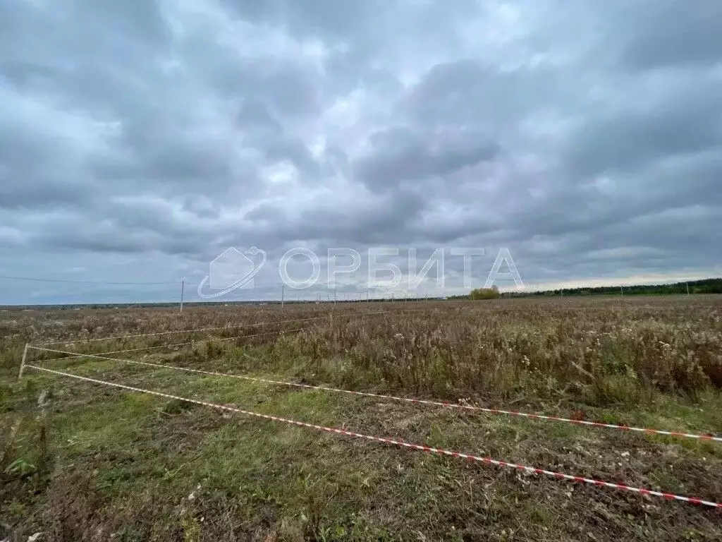 Участок в Тюменская область, Тюменский муниципальный округ, д. ... - Фото 1