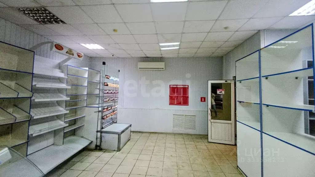 Помещение свободного назначения в Владимирская область, ... - Фото 1