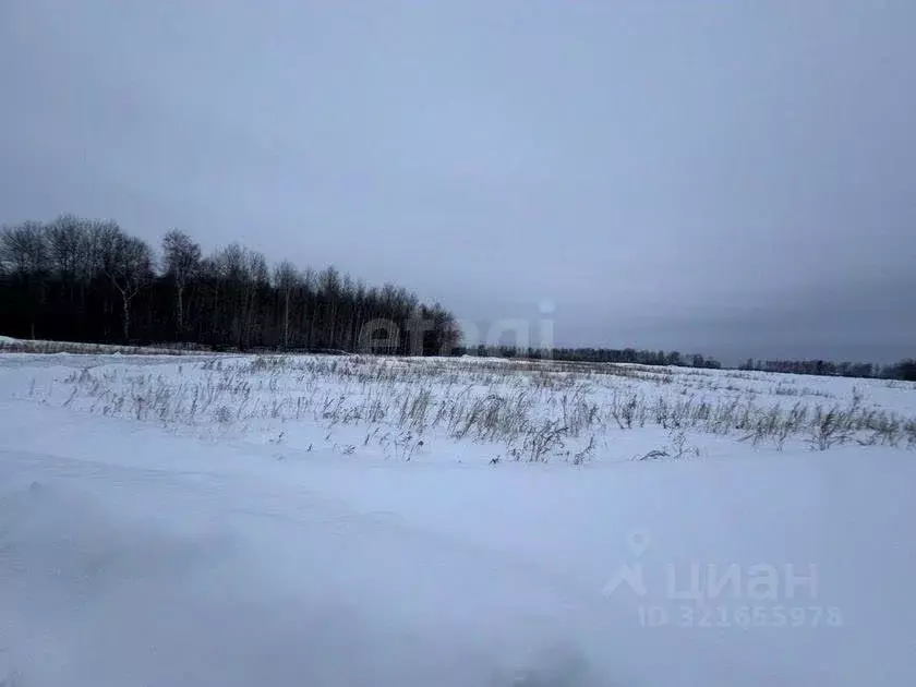 Участок в Тюменская область, с. Ярково ул. Профсоюзная (6.0 сот.) - Фото 1