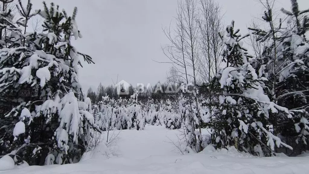 Участок в Владимирская область, Судогодский район, Барский луг ДНТ  ... - Фото 2