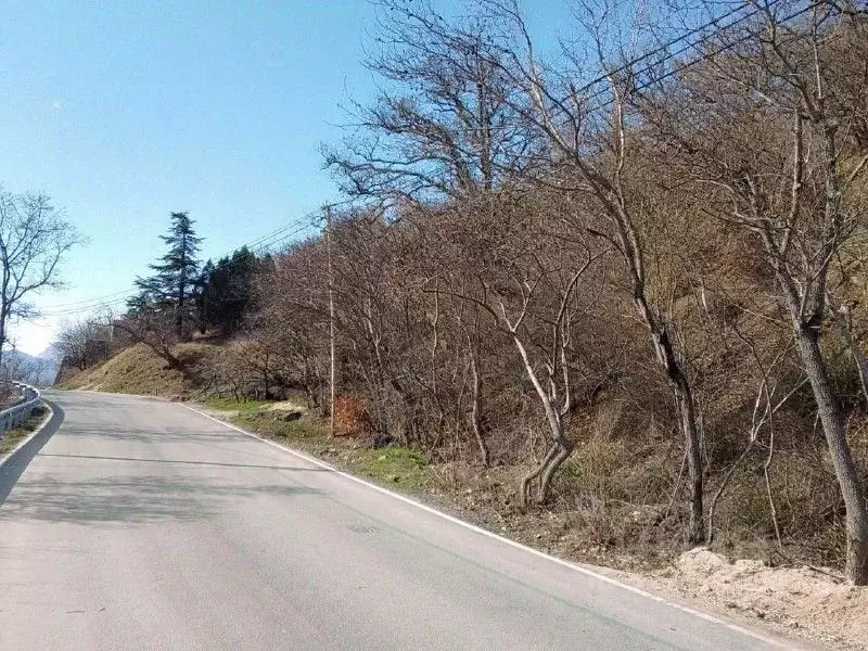 Участок в Крым, Ялта муниципальный округ, Восход пгт ш. ... - Фото 1