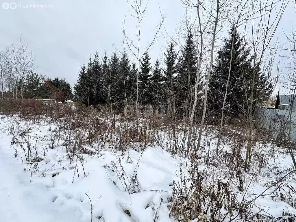 Участок в Московская область, городской округ Подольск, деревня ... - Фото 0