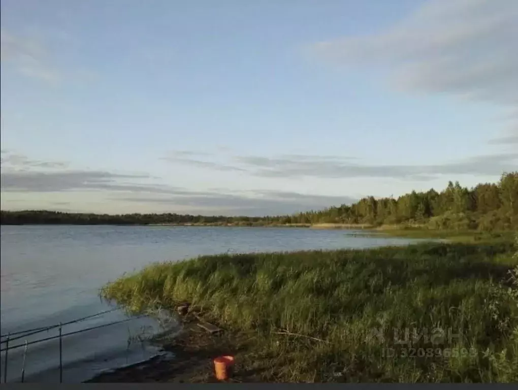 Участок в Новгородская область, Боровичский район, Железковское с/пос, ... - Фото 0