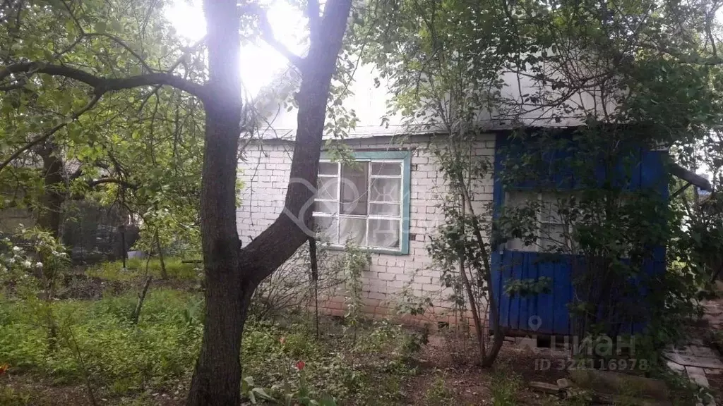 Дом в Волгоградская область, Волгоград Нефтяник СНТ, 6-я линия (25 м) - Фото 1