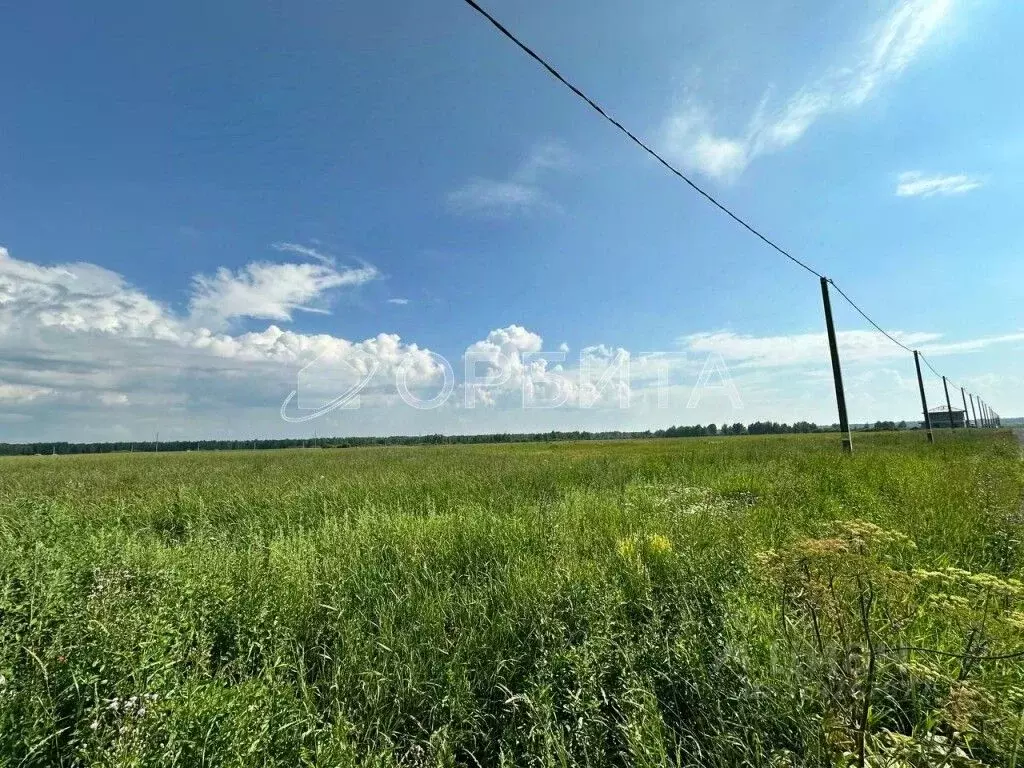 Участок в Тюменская область, Тюменский район, с. Кулига  (8.0 сот.) - Фото 0