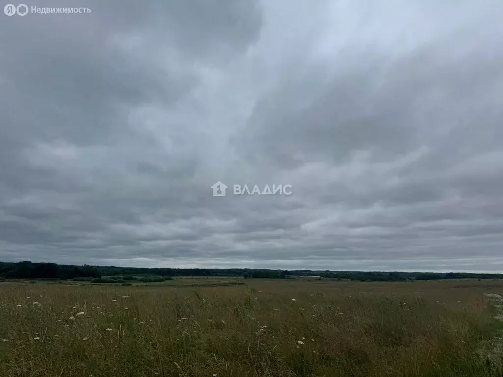 Участок в Калининградская область, Зеленоградский муниципальный округ, ... - Фото 1