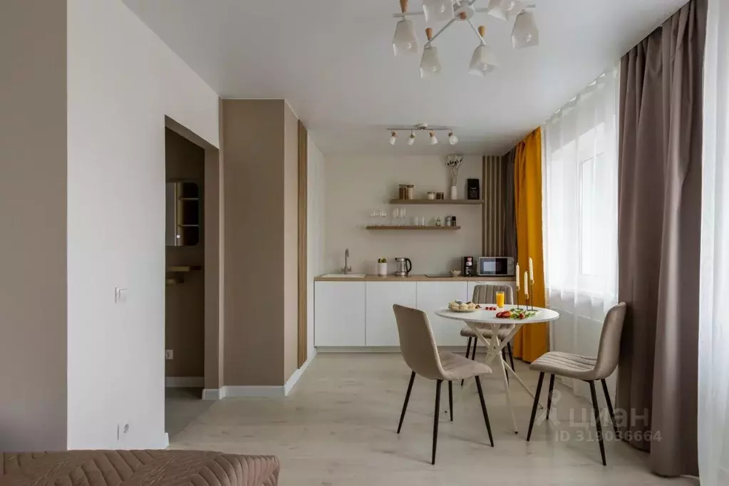 1-к кв. Санкт-Петербург Заневский просп., 42 (25.0 м) - Фото 1