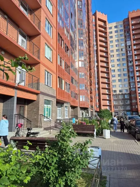 Помещение свободного назначения в Ленинградская область, Мурино ... - Фото 2