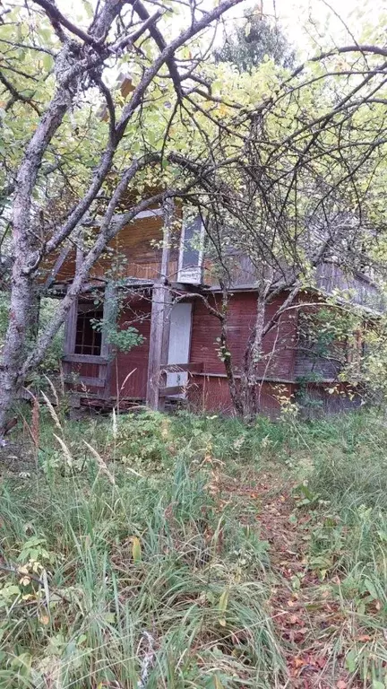 Участок в Ленинградская область, Волховский район, Кисельнинское ... - Фото 2