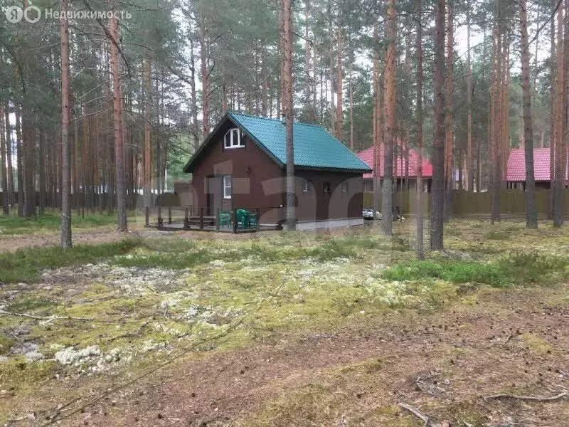 Дом в Вологодская область, Усть-Кубинский муниципальный округ, ... - Фото 2
