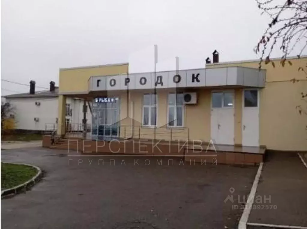 Помещение свободного назначения в Краснодарский край, Крымск Озерки ... - Фото 1
