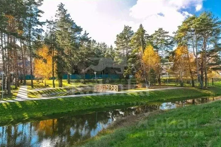 Участок в Московская область, Истра муниципальный округ, д. Чесноково ... - Фото 2