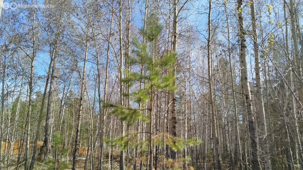 Участок в Иркутский муниципальный округ, село Пивовариха (8 м) - Фото 0