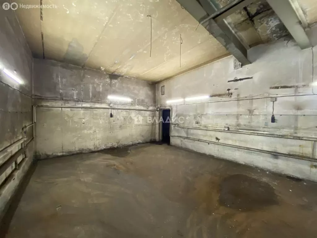 Помещение свободного назначения (46.5 м) - Фото 2