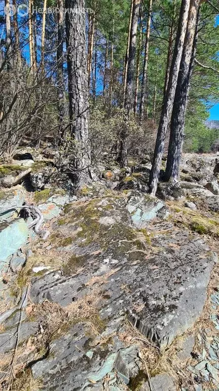 Участок в село Элекмонар, Советская улица (54 м) - Фото 1