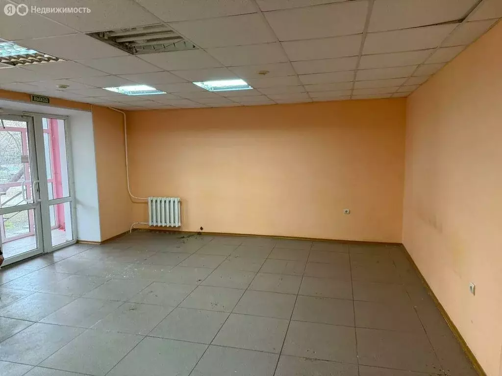 Помещение свободного назначения (55 м) - Фото 2