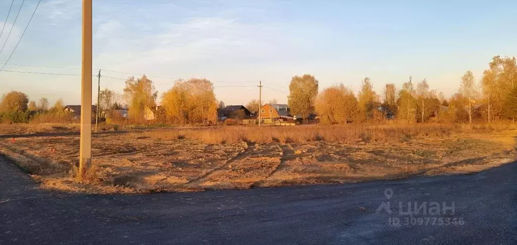 Участок в Московская область, Пушкинский городской округ, д. ... - Фото 1