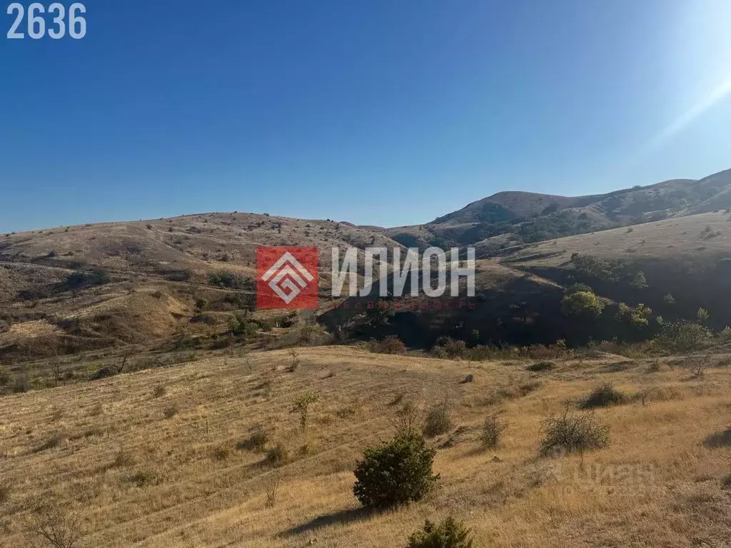 Участок в Крым, Феодосия муниципальный округ, Курортное пгт ул. Науки, ... - Фото 2