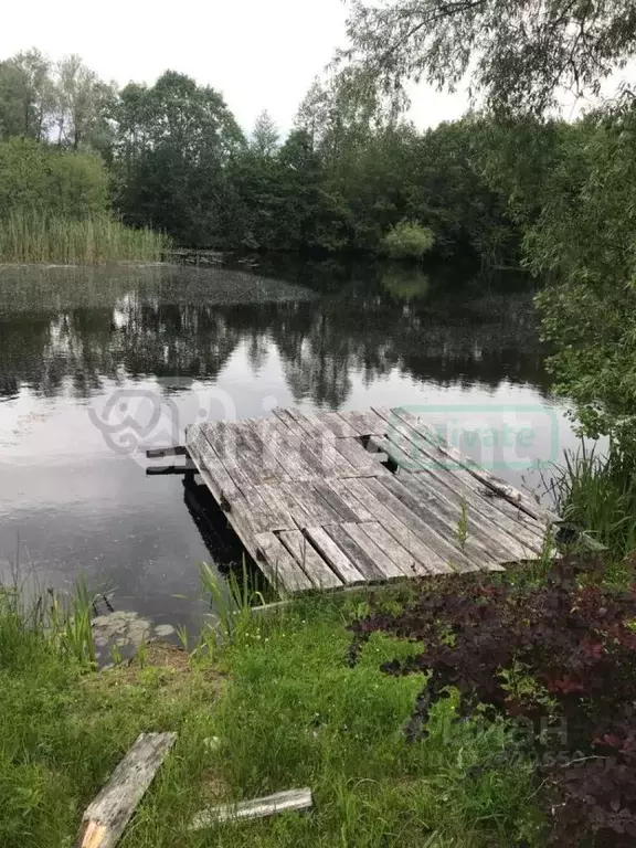 Дом в Калининградская область, Славский муниципальный округ, пос. ... - Фото 1
