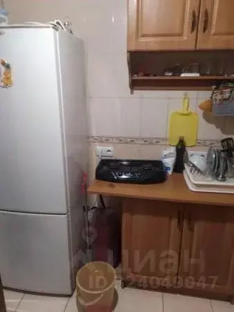 1-к кв. Курская область, Октябрьский район, Черницынский сельсовет, с. ... - Фото 2