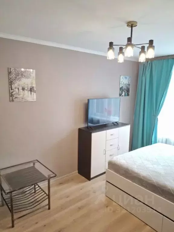 2-к кв. Калининградская область, Калининград Свободная ул., 20 (45.0 ... - Фото 2