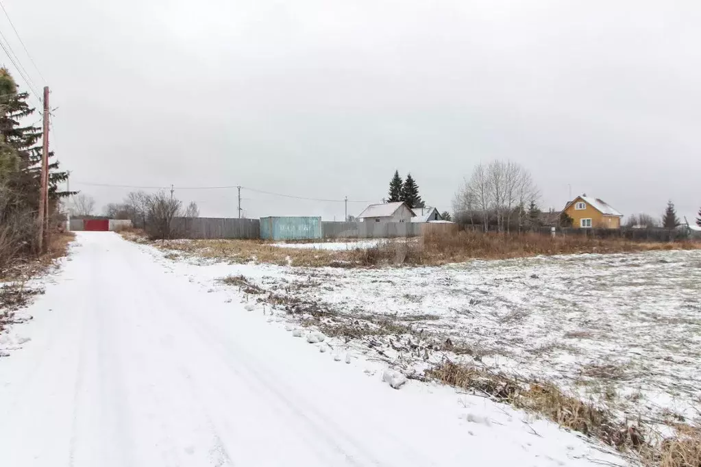 Участок в Тюменская область, Тюменский муниципальный округ, д. Речкина ... - Фото 1