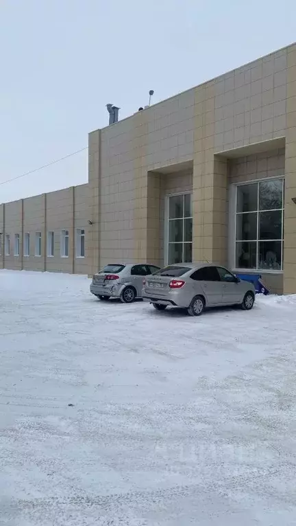 Помещение свободного назначения в Омская область, Омск просп. Мира, ... - Фото 0