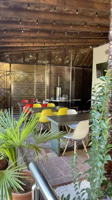 Коттедж в Краснодарский край, Сочи Новый Сочи мкр, ул. Госпитальная, ... - Фото 1