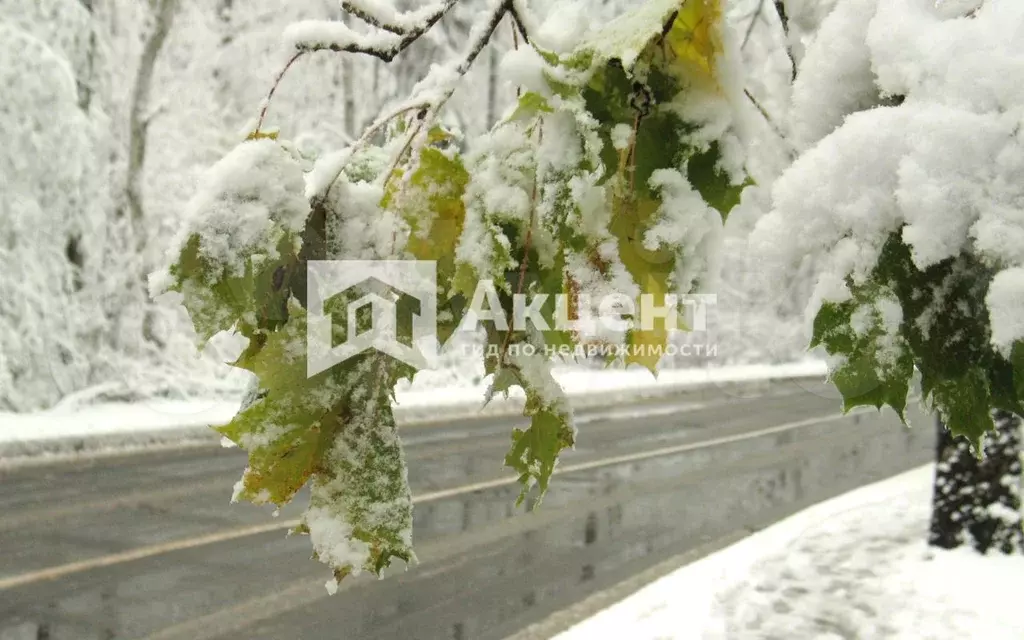 Квартира-студия, 26 м, 1/2 эт. - Фото 0