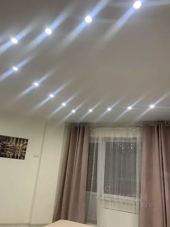 2-к кв. Псковская область, Псковский район, Завеличенская волость, д. ... - Фото 2