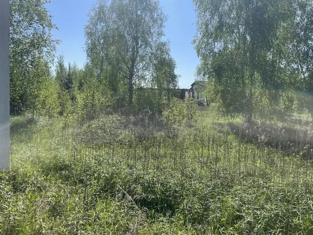 Участок в Московская область, Раменское ул. Фестивальная (9.39 сот.) - Фото 2