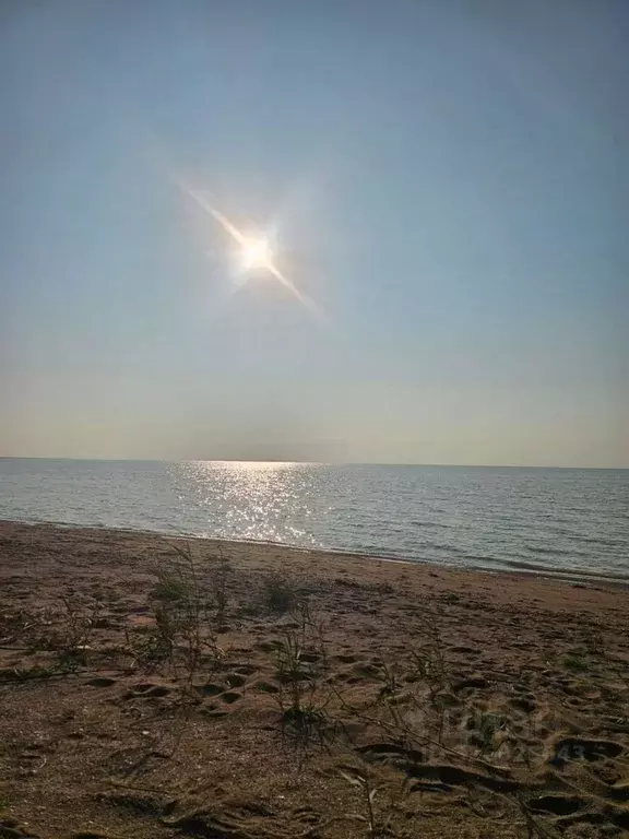 Участок в Краснодарский край, Ейский район, Кухаривское с/пос, с. ... - Фото 1