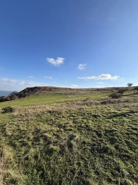 Участок в Крым, Ленинский район, Глазовское с/пос, с. Осовины ул. ... - Фото 2