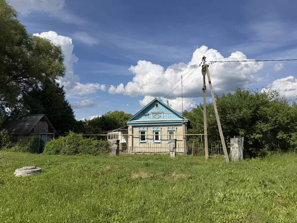 Дом в Пензенская область, Бессоновский район, д. Васильевка ул. ... - Фото 1