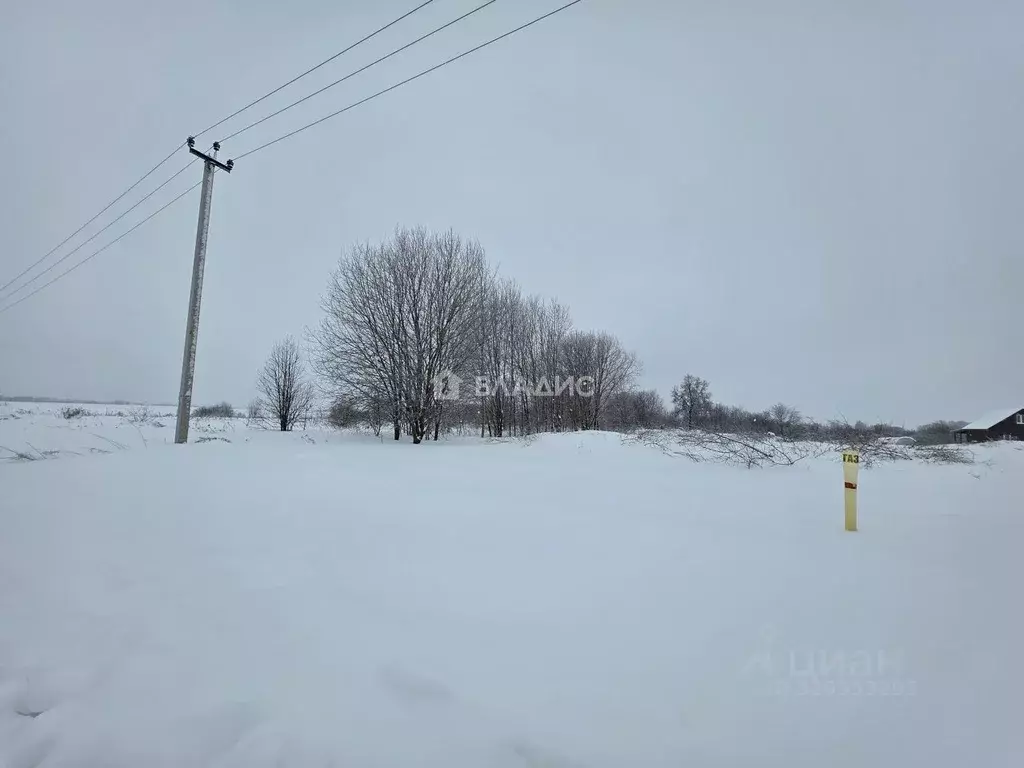 Участок в Владимирская область, Суздальский район, Боголюбовское ... - Фото 2