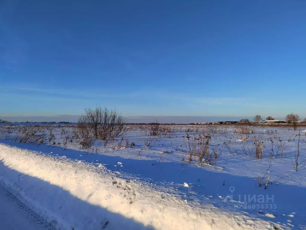 Участок в Московская область, Раменский городской округ, с. ... - Фото 1