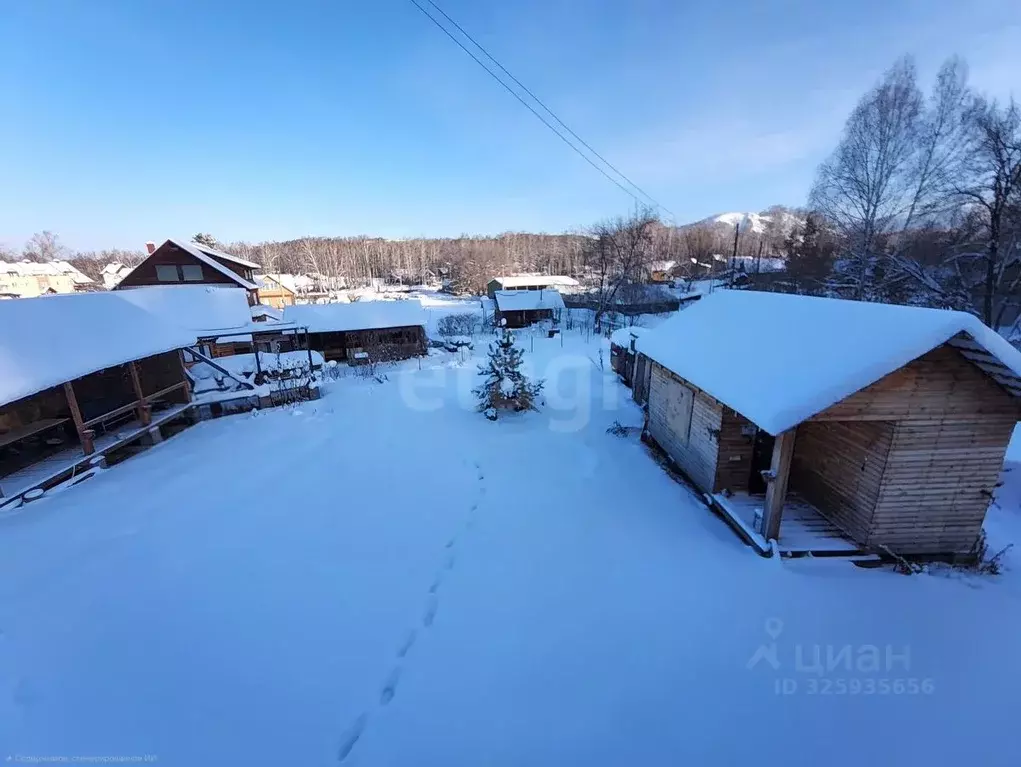 Дом в Алтайский край, Алтайский район, Айский сельсовет, с. Ая ул. ... - Фото 1